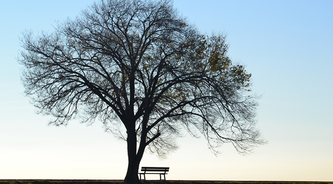 fight depression during the holidays