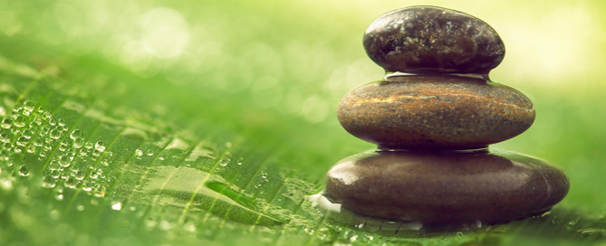 work life balance wellness nyc
