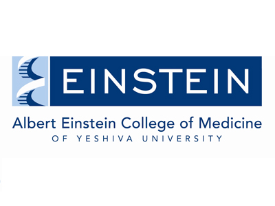 Einstein College of Medicine