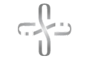 DASHA Wellness® Logo