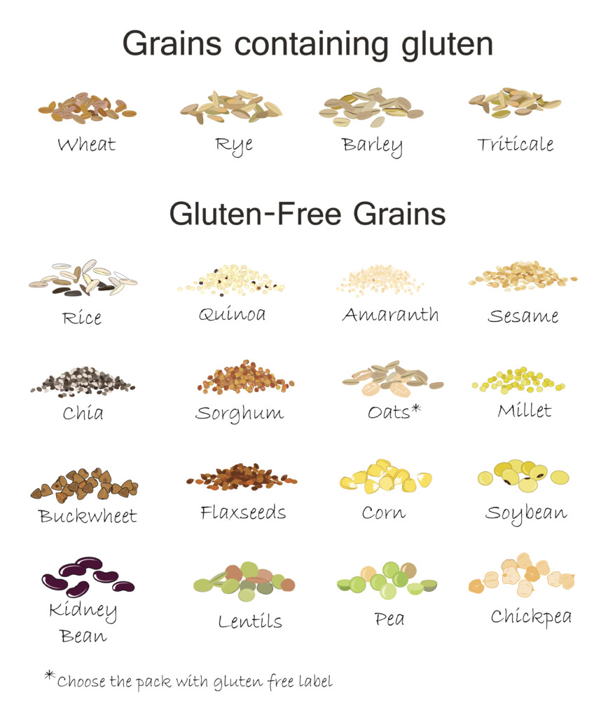 A variety of gluten free and containing gluten grains. 