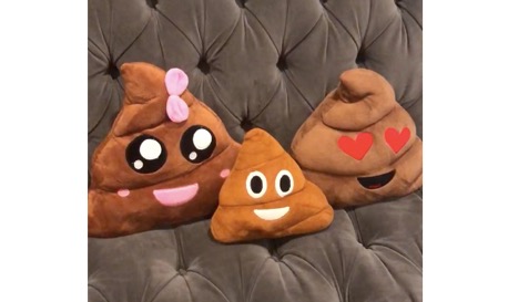 Happy 💩 💩 💩 pillows!